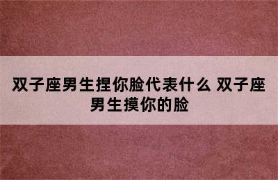 双子座男生捏你脸代表什么 双子座男生摸你的脸